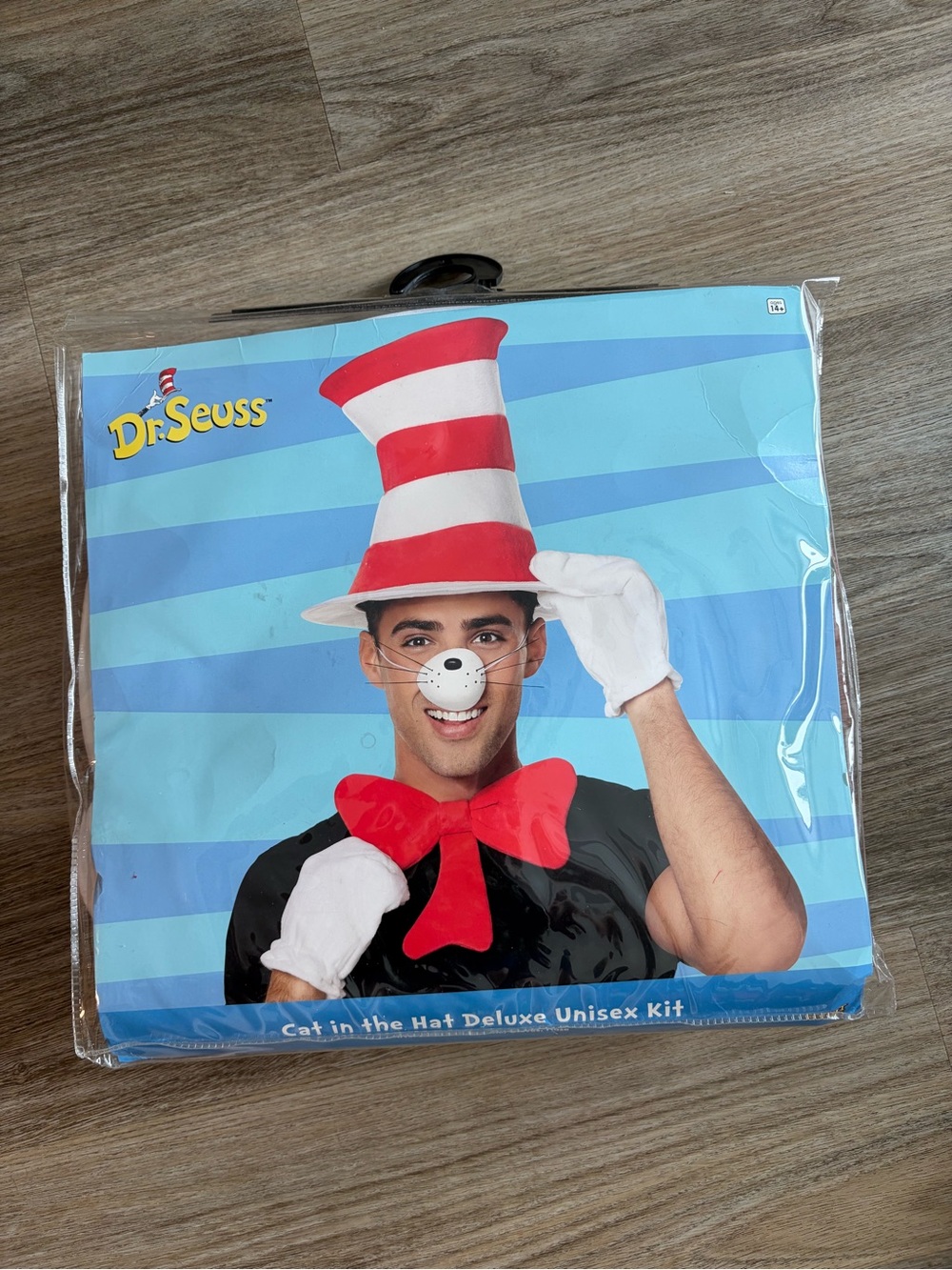Cat in the hat costume